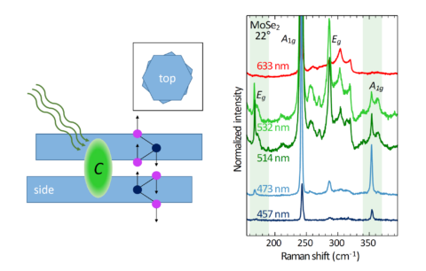 Towards entry "Interlayer Raman modes in twisted bilayer transition metal dichalcogenides"